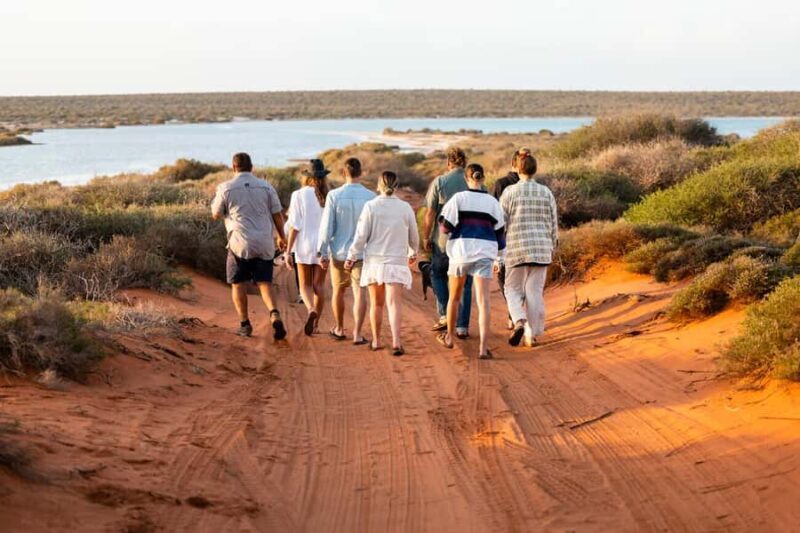 Perth: 4-Day Monkey Mia Pink Lake Coastal Loop Comfort Tour - Final Thoughts: Is This Tour Right for You?