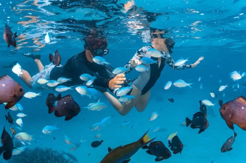 Perth: 7 Day Exmouth Explorer & Ningaloo Reef Return Perth - Key Points