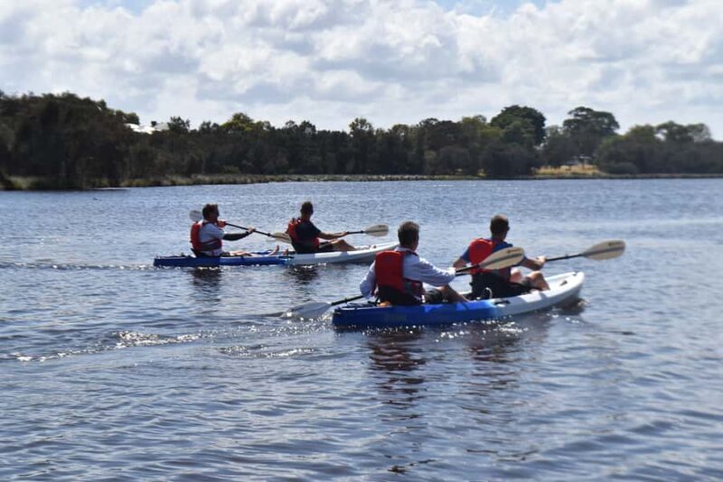 Perth: Guided Kayak Tour around Canning River Wetlands - An Introduction to the Experience