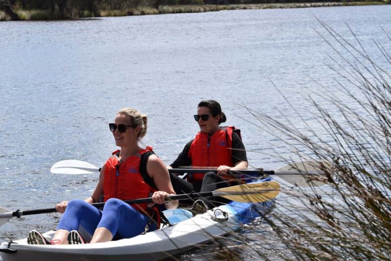 Perth: Guided Kayak Tour around Canning River Wetlands - The Serenity and Wildlife