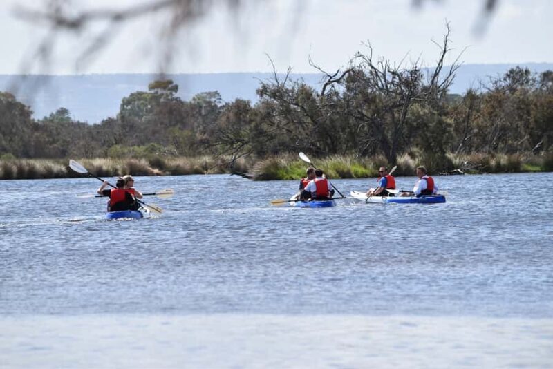Perth: Guided Kayak Tour around Canning River Wetlands - Educational Value