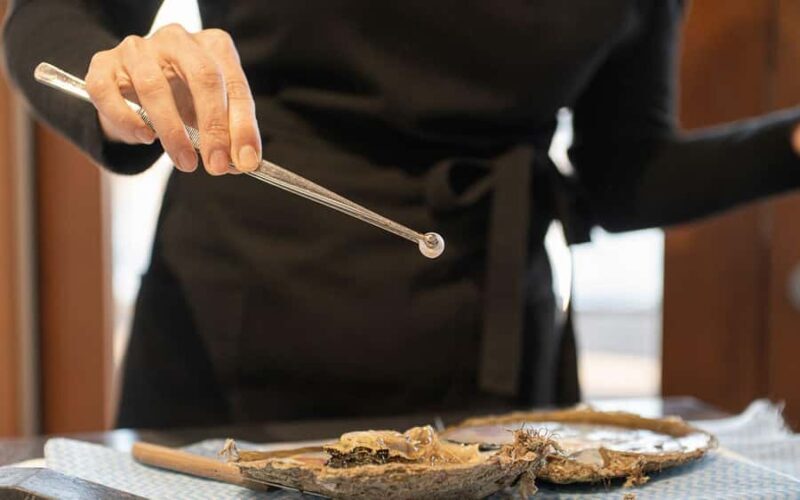 Perth: Harvest Your Own Pearl Experience - Learning and Tasting: Beyond the Harvest