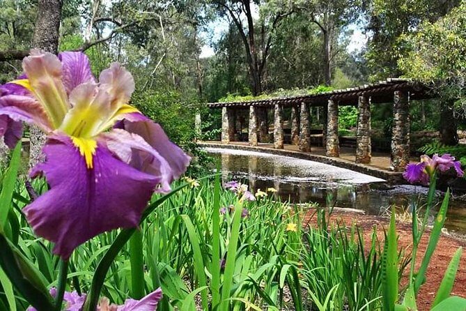 Perth Hills Explorer Private Day Tour - Entering the Perth Hills: A Nature Lover’s Dream