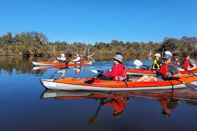 Perth Kayak Tour - Canning River Wetlands - Analyzing Value and Practicalities