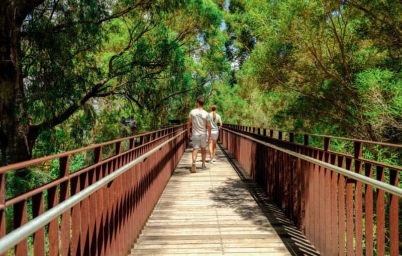 Perth: Kings Park Botanicals & Beyond Guided Hike - Walk the Federation Walkway and Encounter Art and Culture