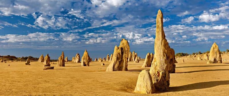 Perth: Pinnacles and Swan Valley Wine Day Tour with Lunch - Key Points