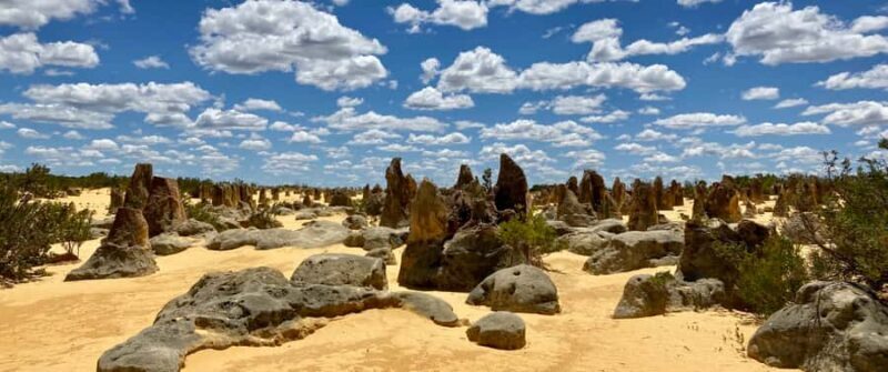 Perth: Pinnacles Desert Bush Walk Guided Tour with Lunch - An Overview of What You Can Expect