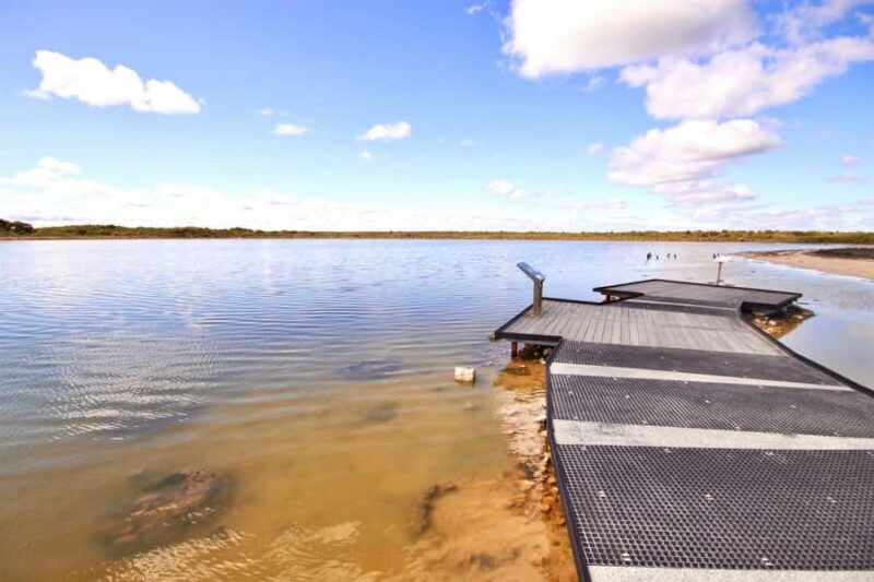 Perth: Pinnacles Desert Lobster Tour with Morning Tea - What Travelers Say