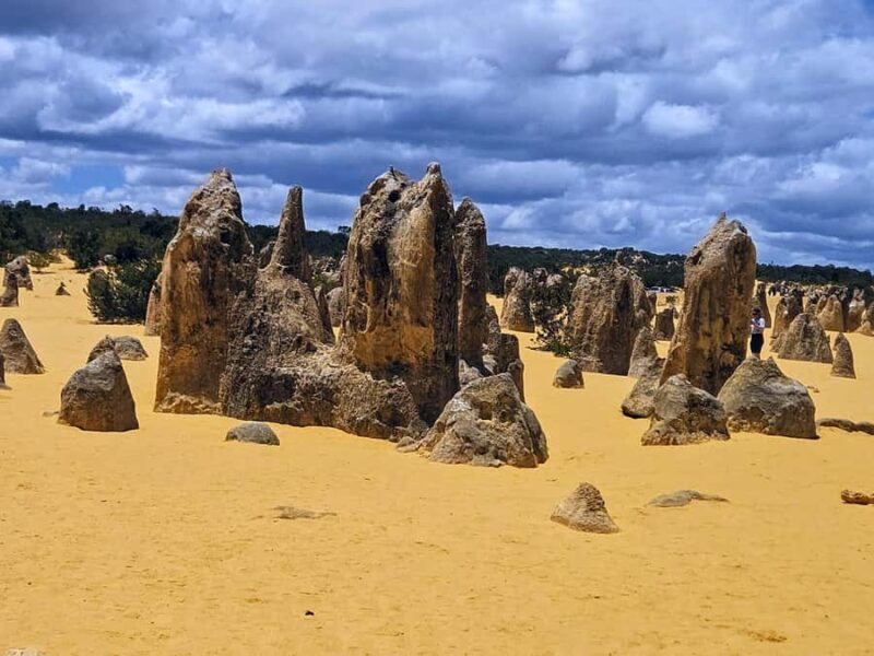 Perth: Pinnacles Desert & Sand Dunes Private Day Tour - An In-Depth Look at the Tour Experience