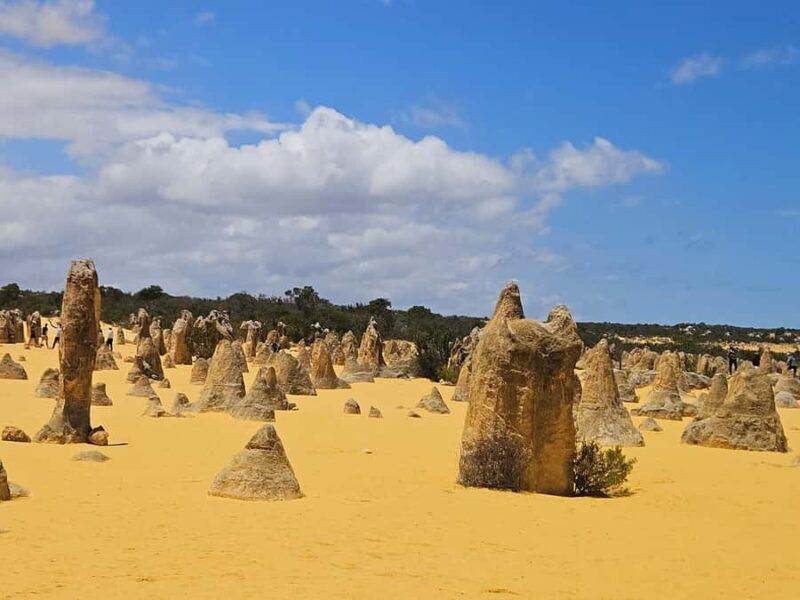 Perth: Pinnacles Desert & Sand Dunes Private Day Tour - Why This Tour Offers Great Value