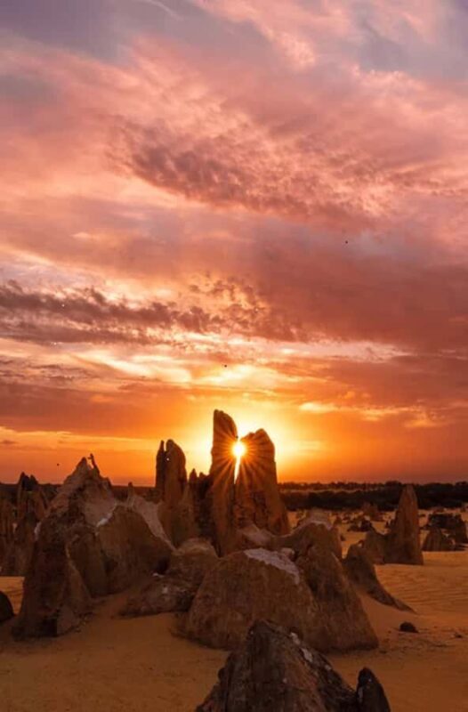 Perth: Pinnacles Desert Sunset & Stargazing with Dinner - Who Should Consider This Tour?