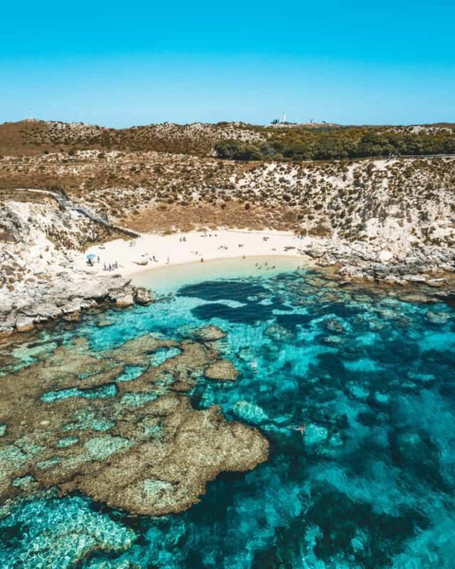 Perth: Rottnest Island Flight Transfer with Return Ferry - The Sum Up