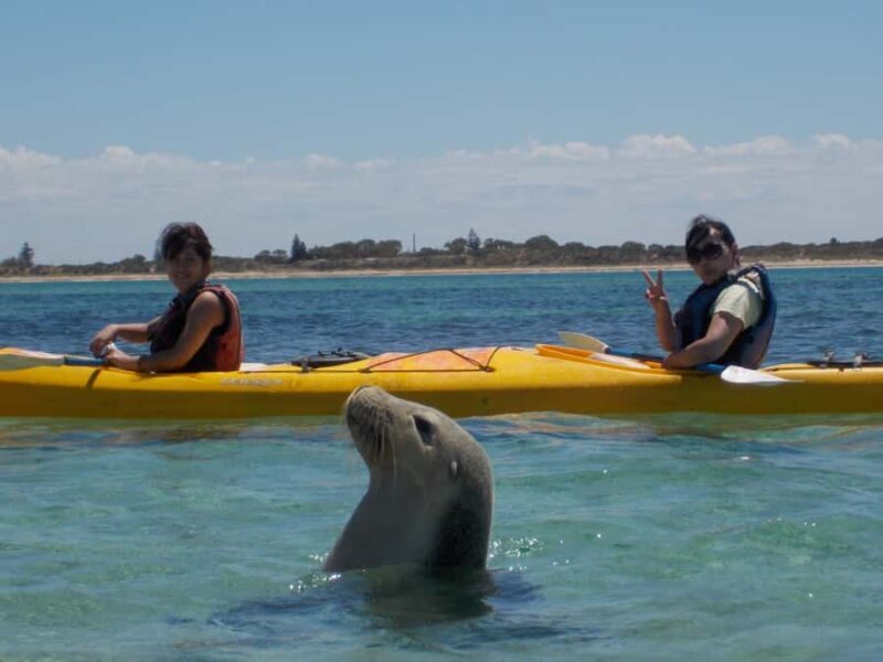 Perth: Shoalwater Islands Marine Park Sea Kayaking Tour - Authentic Feedback from Travelers