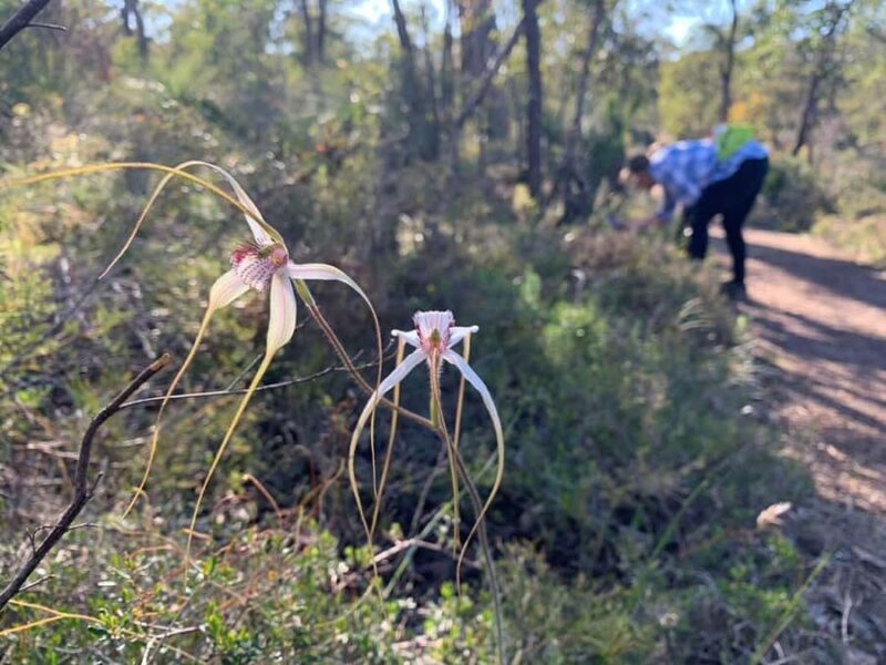 Perth: Swan View Tunnel, Falls, and Eagle View Hike - Who Should Consider This Tour?