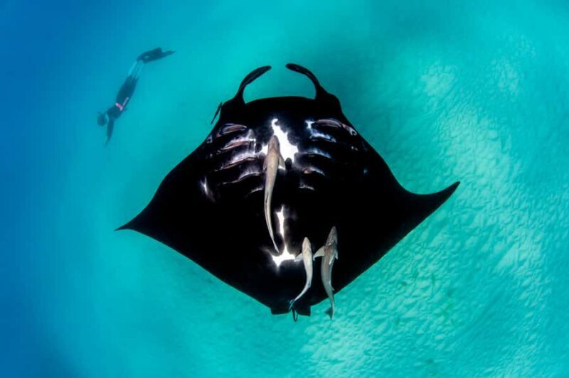 Perth to Exmouth: 6-Day Ningaloo Reef & Coral Coast Tour - Final Thoughts