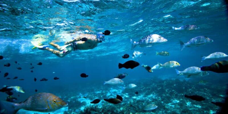 Perth to Exmouth & Return with Monkey Mia & Ningaloo Reef - Key Points