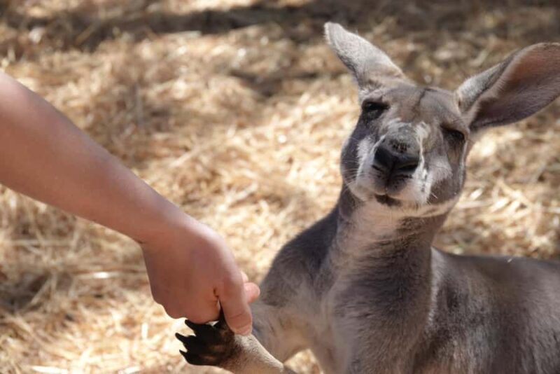 Perth to Exmouth with Monkey Mia & Ningaloo Reef - Key Points