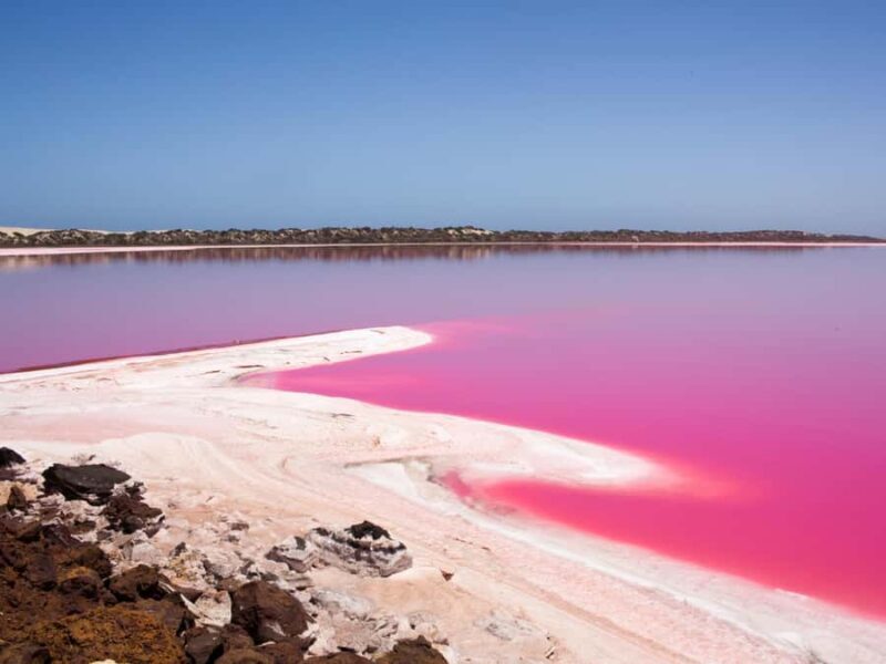 Perth to Exmouth with Monkey Mia & Ningaloo Reef - The Value of this Tour