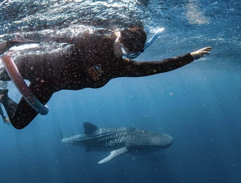 Perth to Exmouth with Monkey Mia & Ningaloo Reef - FAQs