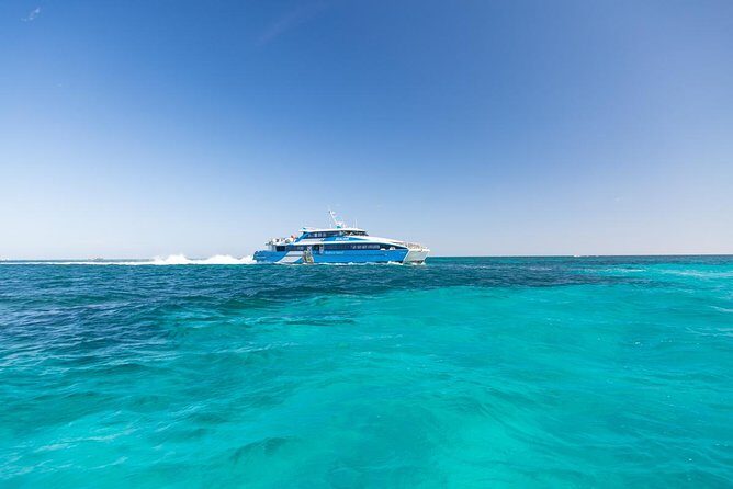 Perth to Rottnest Island Roundtrip Ferry Ticket - On Rottnest Island: What to Expect
