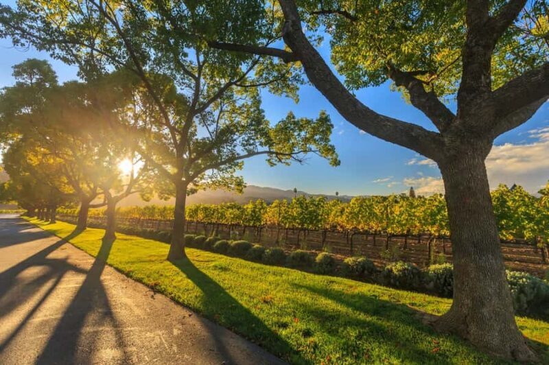 Perth VIP Swan Valley Wine Tour - Premium Small Group Tour - FAQ