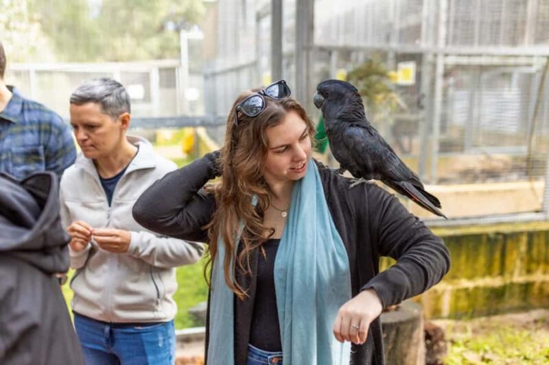 Perth: WA Wildlife Hospital and Native Fauna Encounter Tour - The Experience in Context