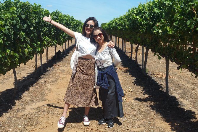 Perth Wildlife Park & City Highlights - Premium Small Group Tour - Exploring Perth in a Day: A Closer Look at the Perth Wildlife Park & City Highlights Tour