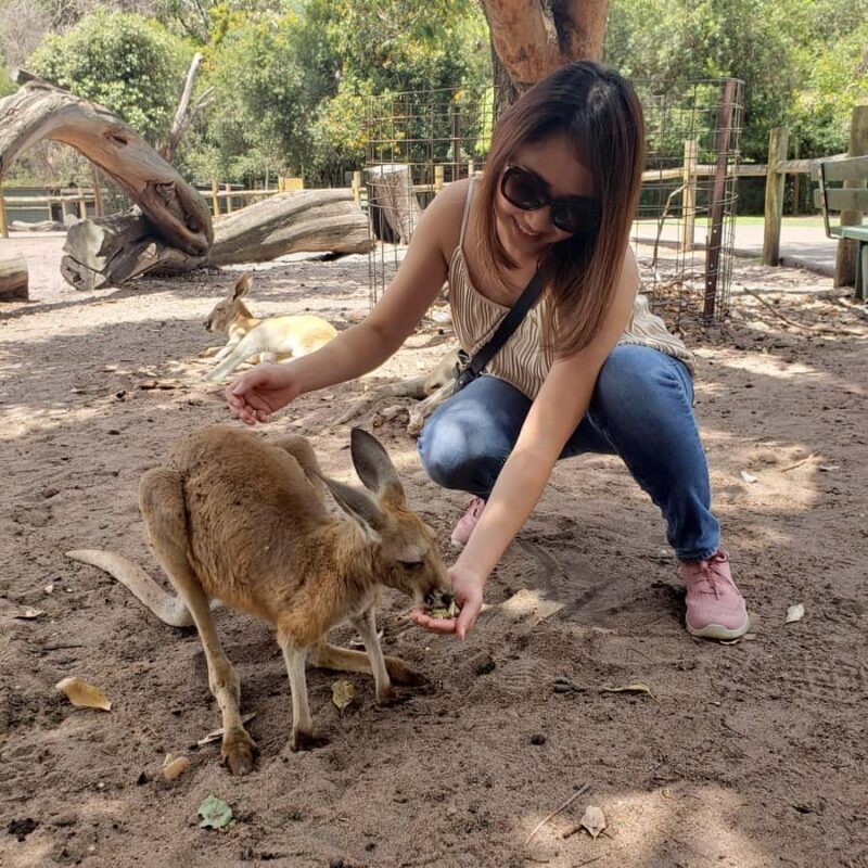 Perth Wildlife Park & City Highlights - Small Group Tours - An In-Depth Look at the Perth Wildlife Park & City Highlights Tour