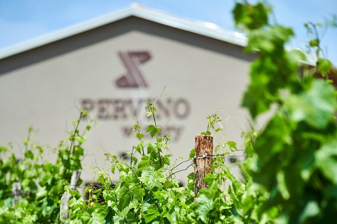 PERVINO - Wine tasting - A Deep Dive into the Pervino Wine Tasting Experience