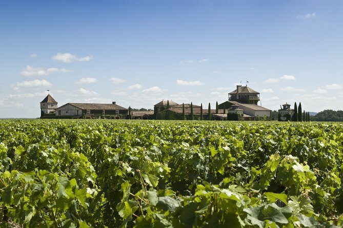 Pessac Leognan 4.5 hours Wine Tour in a Citroën 2CV from Bordeaux - An In-Depth Look at the Experience