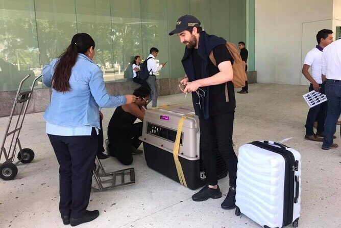 PET FRIENDLY Private Transfer Cancun - Playa del Carmen - Why This Transfer Service Works for You