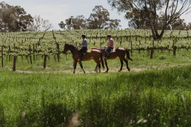 Petaluma: Horseback Riding and Wine Tasting Tour - Key Points