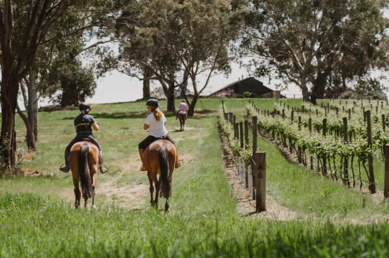Petaluma: Horseback Riding and Wine Tasting Tour - Authentic Feedback from Participants