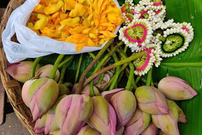 Pete walk, an immersive walking tour in Bangalore with a guide - An In-Depth Look at the Tour