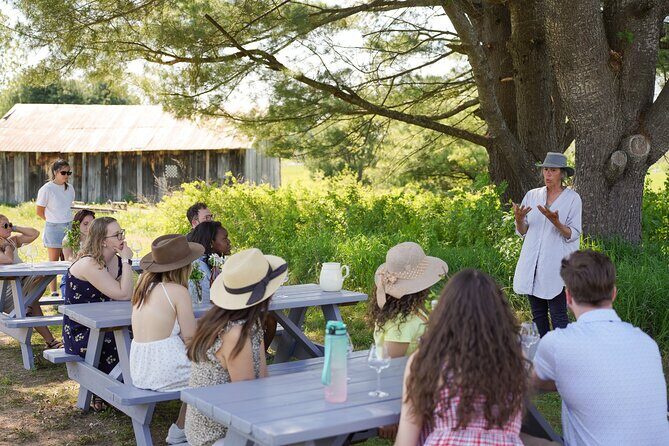 Petite Nation Wine & Cider Tour - Day Trip From Ottawa & Gatineau - A Full Day of Taste and Tales in Petite Nation