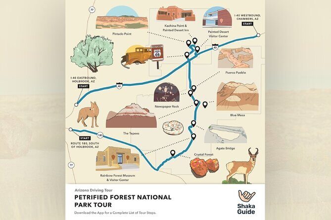 Petrified Forest National Park Self Guided Audio Driving Tour - The Practicalities and What to Expect