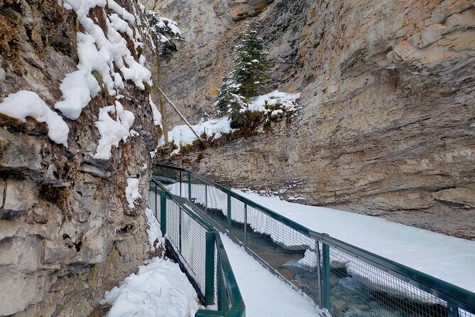 Peyto Lake Lake Louise Johnston Canyon Bow Lake from Calgary - Who Should Consider This Tour?