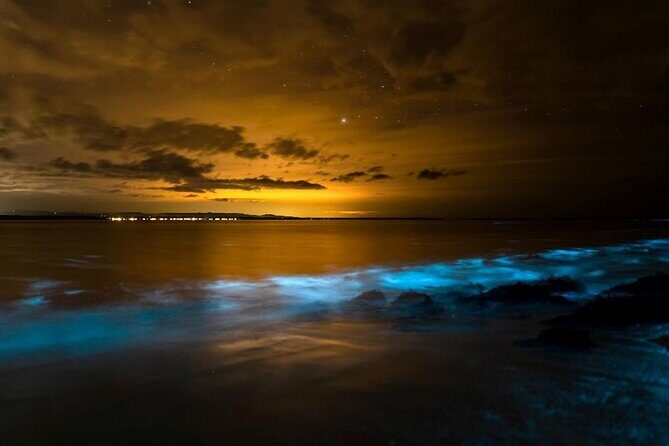 Phang Nga Bay Private Bioluminescence and Sea Canoeing Tour - Final Thoughts: Is This Tour Right for You?