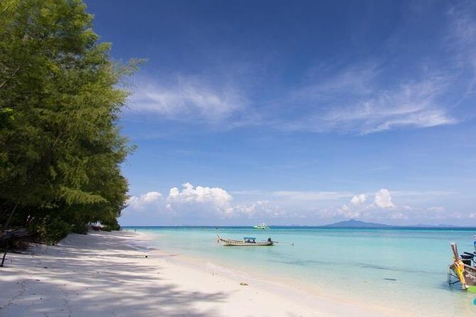 Phi Phi & Bamboo Islands Full-Day Tour by Speedboat From Phuket - What Travelers Can Expect from the Tour