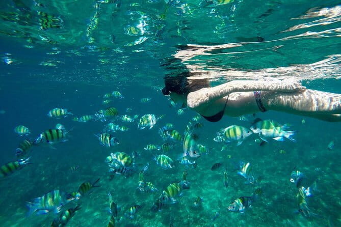 Phi Phi Island Deluxe Package by Tour Hub Asia - Who Would Love This Tour?