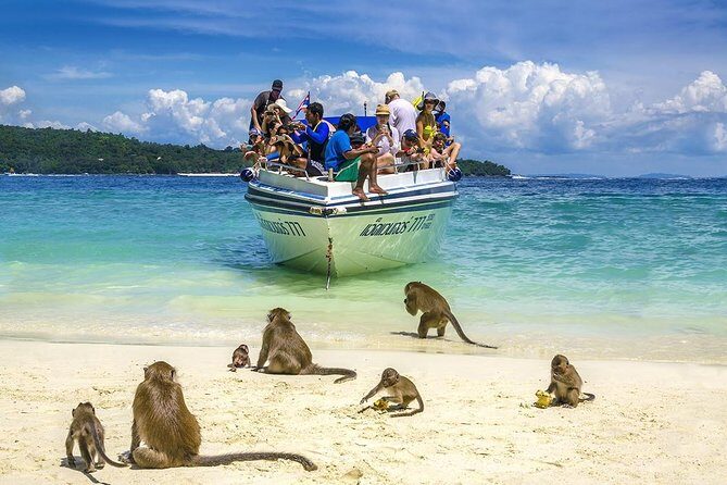 Phi Phi Island from Phuket by Speedboat (SHA Plus) - Pricing and Value