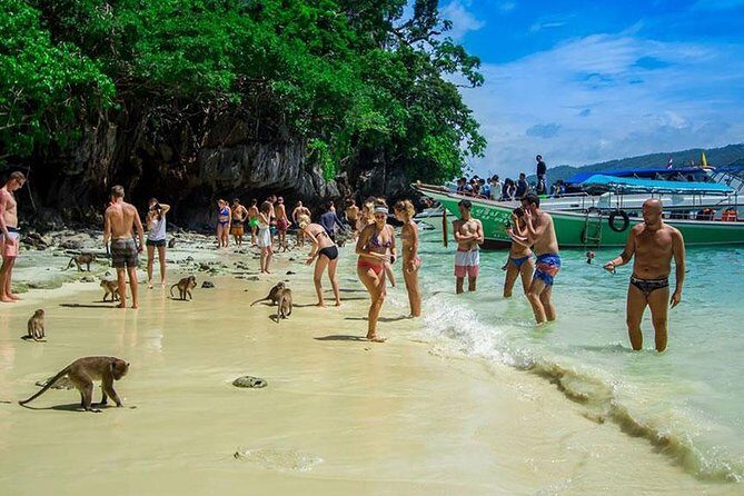 Phi Phi Island Half Day Tour From Phi Phi by Longtail Boat - The Sum Up: Is This Tour Worth It?