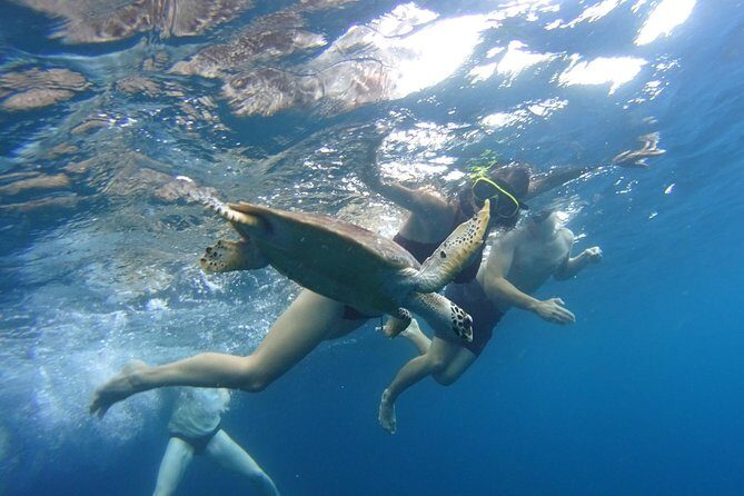 PHI PHI ISLAND - Sunrise Trip From Phi Phi Don By Phi Phi Local Tour - Who Should Consider This Tour?