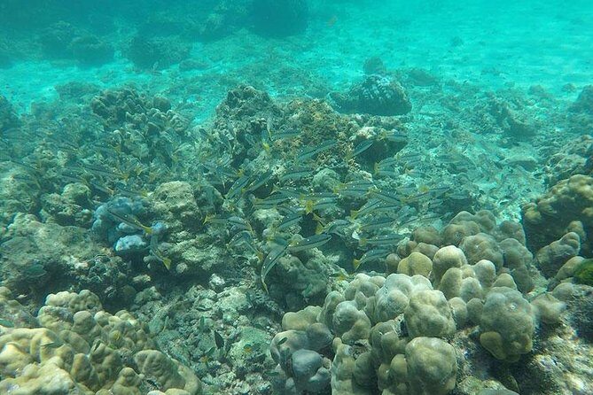 Phi Phi Islands One Day Tour by Speedboat From Phuket - FAQs