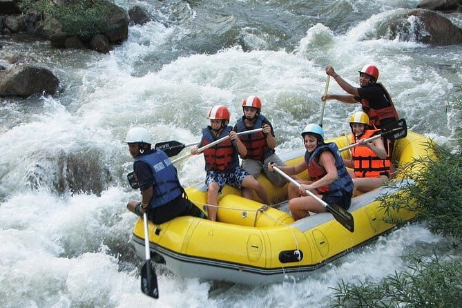 Phi Phi Islands Private Luxury Tour - Who Is This Tour Best Suited For?