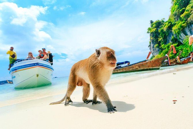 Phi Phi , Khai & Maya : Unforgettable Island Hopping by Speedboat - Final Thoughts