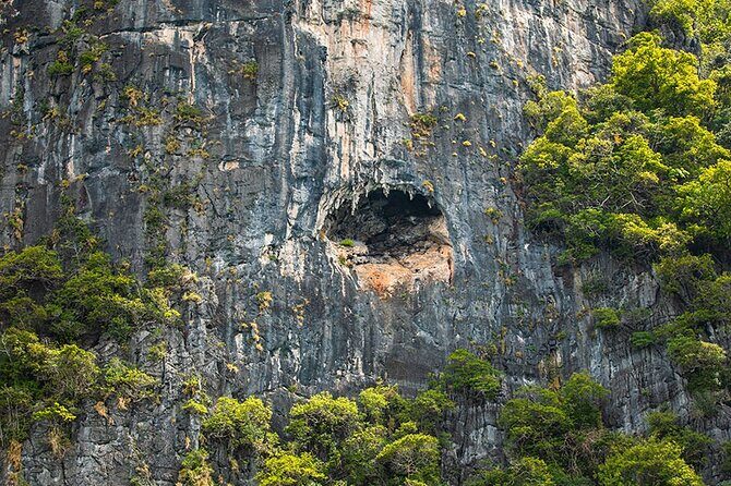 Phi Phi, Maya, Khai and Pileh Day Trip by Speed Catamaran From Phuket - The Sum Up