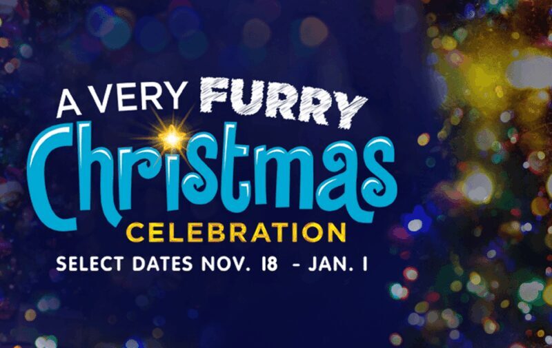 Philadelphia: Official Sesame Place Entry Ticket - Final Thoughts