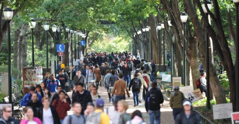 Philadelphia: UPenn Campus Walking Tour & Museum Ticket - Authentic Experiences and Honest Insights