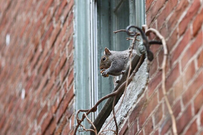 Philadelphia Walking Tour: A Lot of Colonial Nonsense - A Closer Look at the Tour Experience